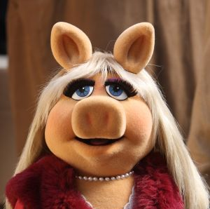 Don’t Mess with a Texan