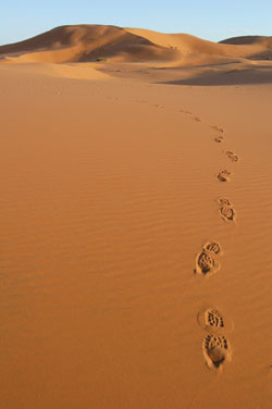 After the Desert: A Faithful Catholic’s Reflection on Same-Sex Attraction