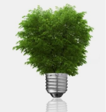 The False Promise of Green Energy [VIDEO]