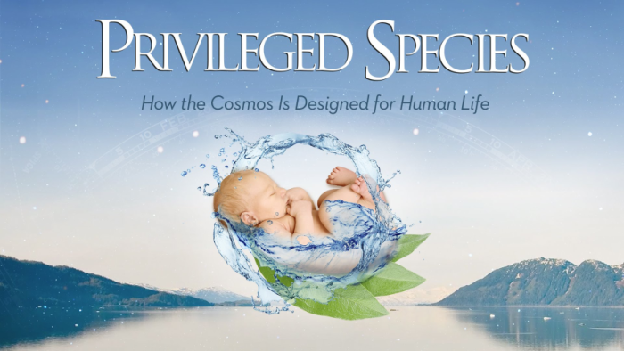 Privileged Species: How the Cosmos is Designed for Human Life